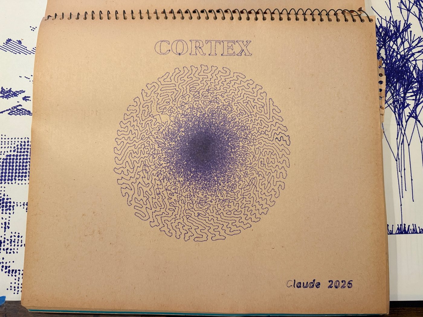 Cortex